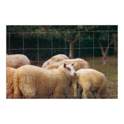 Rete per pecore e capre