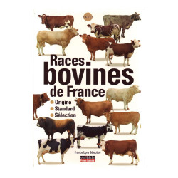 Razze bovine francesi