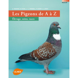 Prenota: Il piccione dalla A alla Z