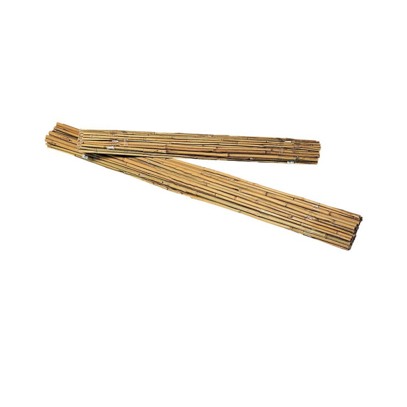 20 pali, bambù naturale
