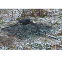Trappola per uccelli a rete 70 x 70