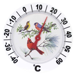 Termometro per uccelli