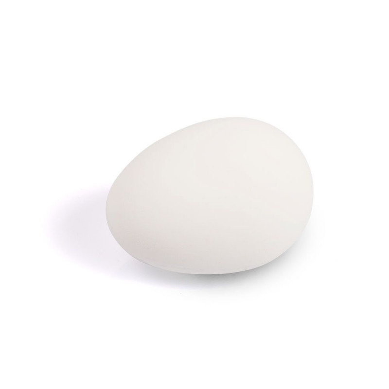 Lotto di 2 uova di manichino - ducatillon