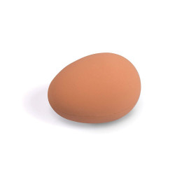 Lotto di 2 uova di manichino - ducatillon